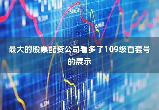 最大的股票配资公司看多了109级百套号的展示